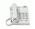 NEC Dterm DTP-1 Corded Phone (770080)