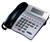 NEC ITR-8D-3 IP Phone
