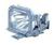NEC MT50LP Projector Lamp for MT850/1050/105