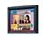 NEC MultiSync XM29 Plus 29 in.CRT Conventional...