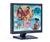 NEC NX86LCD (Black) 18.1 in. Flat Panel LCD Monitor