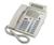 NorStar Aastra Meridian M5208 Business Set w...