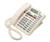 NorStar Meridian M8417 Phone --2 Line-- (NT2N32)