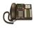 NorStar Norstar T-Series Telephones: Norstar T7316...