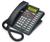 NorStar Phones 9316CW