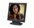 Planar PL170 17 in. Flat Panel LCD Monitor