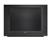 RCA 24F524T 24 inch TV
