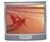 RCA 35V432T 35" TV