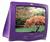 RCA E13702 13" TV