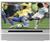 RCA HD61LPW167 61 in. HDTV Television