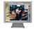 Samsung SyncMaster 153V (Silver) 15 in. Flat Panel...