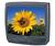 Samsung TXJ1996 19" TV