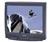 Samsung TXJ3276 32 in. Rear Projection Television