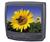 Samsung TXM1997 19" TV