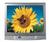 Samsung TXM2556 25" TV