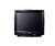 Sharp 25L-S100 25" TV