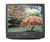 Sharp 27U-S100 27" TV