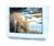 Sharp 29AGM2 29" TV