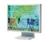 Sony DELUXEPRO SDM-X73 (Gray) 17" LCD Monitor