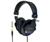 Sony MDR-7506 Professional Headphones