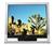 Sony SDM-HS95P/S (Silver) 19" LCD Monitor