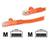 StarTech.com 5 ft. UTP Patch Cable