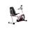 Timex Keys IronMan 240R Recumbent Exercise Bike - !