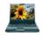 Toshiba Satellite® U405-S2820 PC Notebook