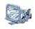 Toshiba TLP-LB1 Projector Lamp for TDP-B1'TDP-P
