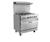 Vulcan E36SL Electric Kitchen Range