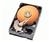 Western Digital Caviar WD1200AB 120 GB Hard Drive