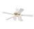 Westinghouse 72193 Prot g Polished Brass Fan