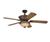 Westinghouse 78038 Riverside Rustic Bronze Ceiling...