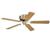 Westinghouse 78049 Casanova Ceiling Fan