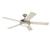 Westinghouse 78136 Comet Brushed Pewter Ceiling Fan