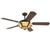 Westinghouse 78431 Jupiter Old Chicago Ceiling Fan