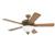 Westinghouse 78692 Cozumel Gold Fan