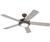 Westinghouse 78712 Comet? Ceiling Fan