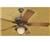 Westinghouse Lafayette 52 78778 Ceiling Fan