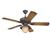 Westinghouse Lafayette - Outdoor Ceiling Fans Fans