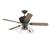 Westinghouse Lily Fields 78402 Fan