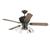 Westinghouse Lily Fields? Ceiling Fan