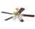 Westinghouse Prot&#233;g&#233; 72192 Fan