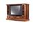 Zenith B27A74R 27" TV