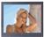 Zenith C27F43 27" TV